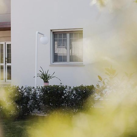 פאנו B&B "Al Colle 11" מראה חיצוני תמונה