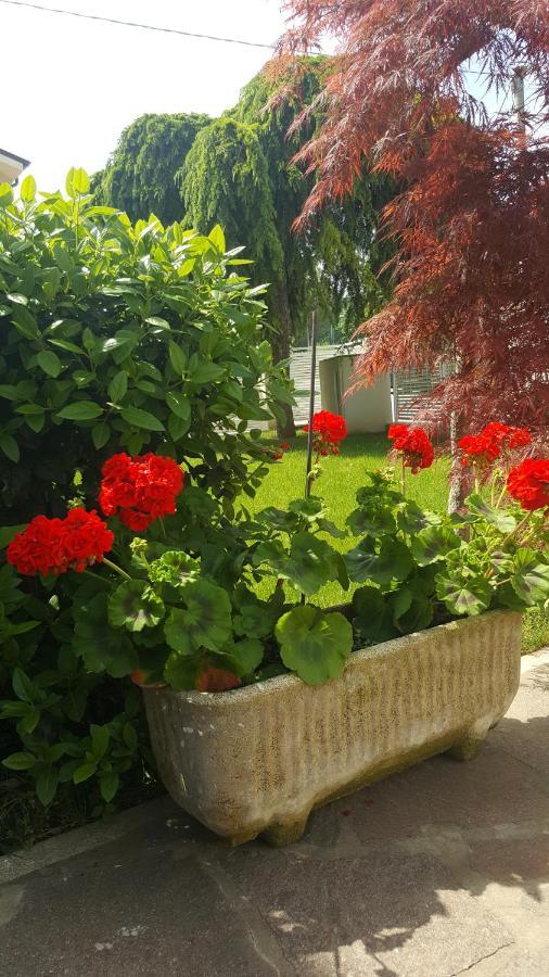 פאנו B&B "Al Colle 11" מראה חיצוני תמונה